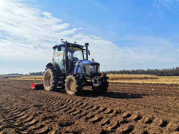 濰柴雷沃智慧農(nóng)場(chǎng)里的&ldquo;三秋&rdquo;