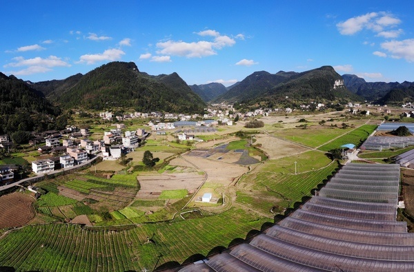 習水這五年:現(xiàn)代農(nóng)業(yè)助推鄉(xiāng)村振興