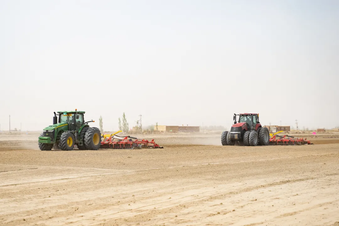 超級(jí)棉田喜獲豐收，極飛科技打造鄉(xiāng)村振興新樣本