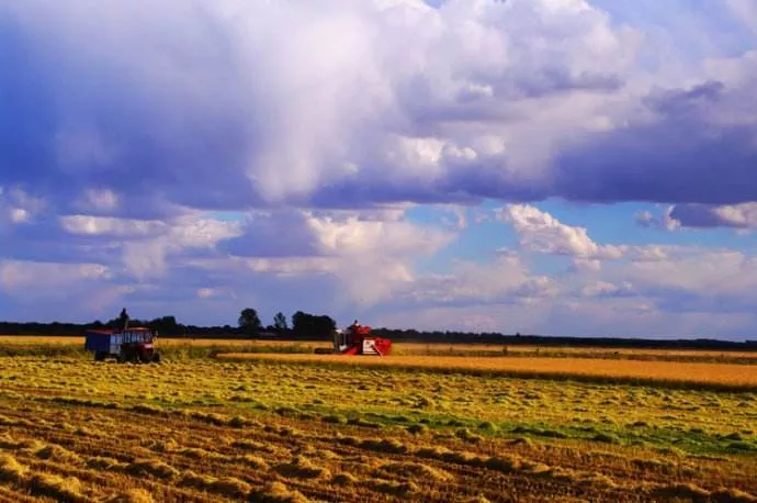 中國農業的智慧升級路:未來小農戶將成高收入群體