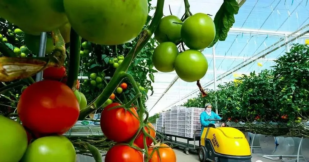 國常會重磅定調:“十四五”加快農機研發創新!