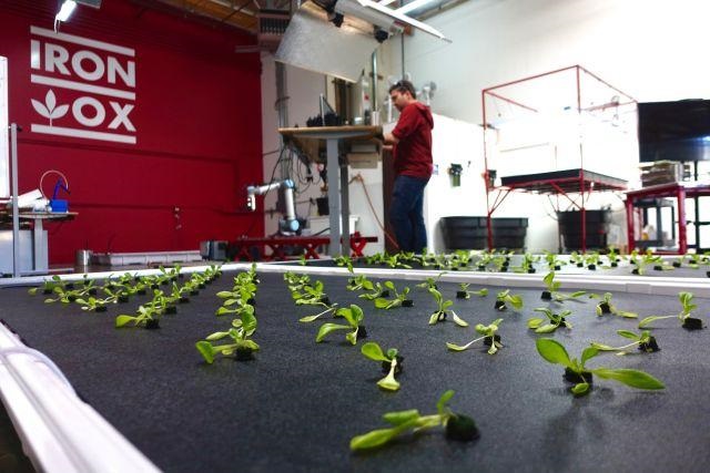 美國研發(fā)智慧農(nóng)場，未來蔬菜將由機器人種植