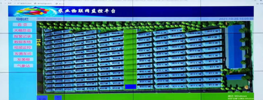 標準化香菇生產(chǎn)大棚 