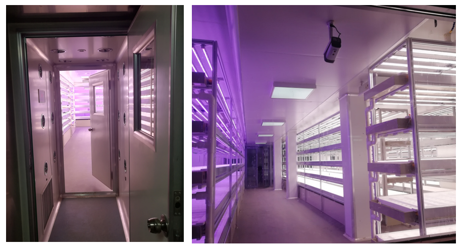 智能植物工廠(chǎng)