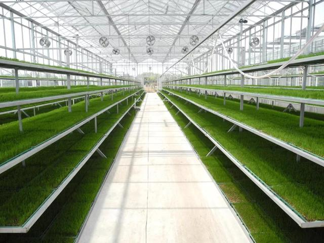 智慧農業國家改革試點 蘇州為農業插上&ldquo;智慧翅膀&rdquo;