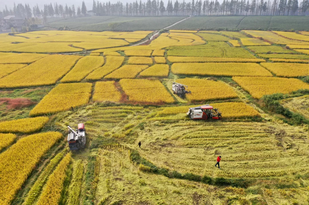&ldquo;未來農場&rdquo;的德清實踐