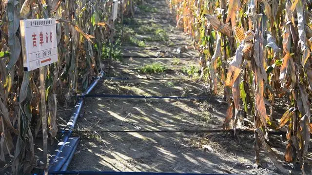 吉林省現代農業&ldquo;打開方式&rdquo;新觀察