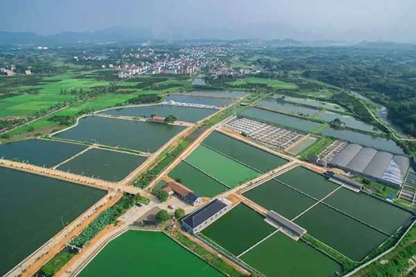 大地量子 &ldquo;數(shù)字地球PaaS平臺(tái)&rdquo; 被評(píng)為2021數(shù)字鄉(xiāng)村大腦十強(qiáng)