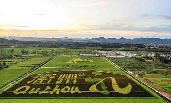 大地量子 &ldquo;數(shù)字地球PaaS平臺(tái)&rdquo; 被評(píng)為2021數(shù)字鄉(xiāng)村大腦十強(qiáng)