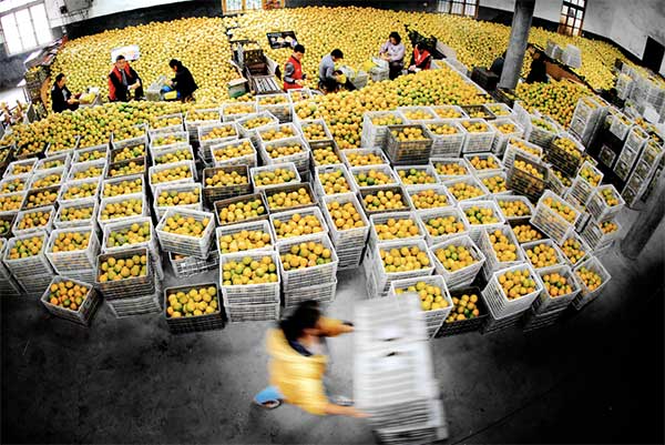 大地量子 &ldquo;數(shù)字地球PaaS平臺(tái)&rdquo; 被評(píng)為2021數(shù)字鄉(xiāng)村大腦十強(qiáng)