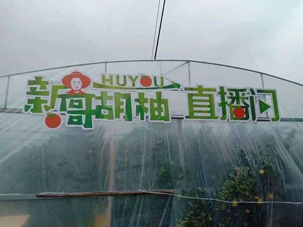 大地量子 &ldquo;數(shù)字地球PaaS平臺(tái)&rdquo; 被評(píng)為2021數(shù)字鄉(xiāng)村大腦十強(qiáng)