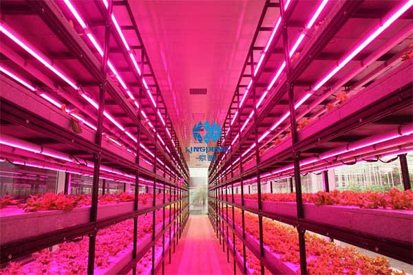 引領行業技術創新“京鵬智造”結碩果 ——專訪京鵬科技總工程師:周增產