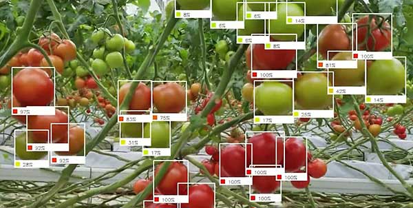 智慧農業的未來&mdash;&mdash;5款人工智能農業機器人