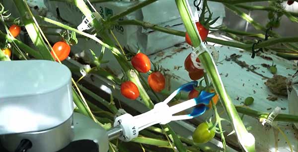 智慧農業的未來&mdash;&mdash;5款人工智能農業機器人