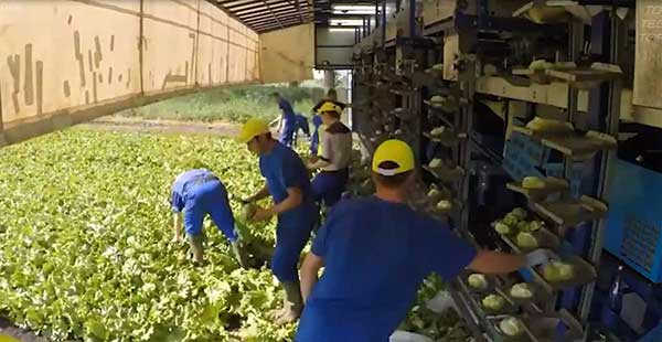 智慧農業的未來&mdash;&mdash;5款人工智能農業機器人