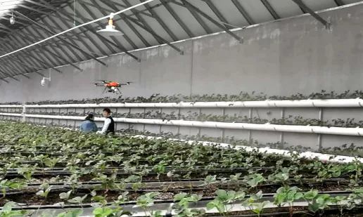 海淀延慶攜手，打造農業跨區域結對協作示范標桿