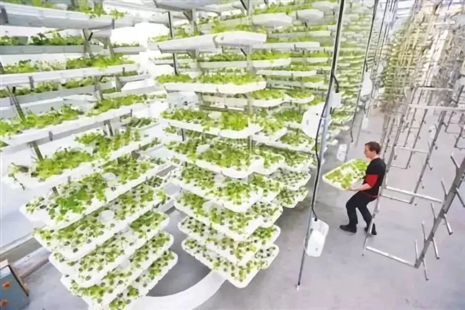 什么是垂直農(nóng)場？垂直農(nóng)場的盈利前景與經(jīng)典案例