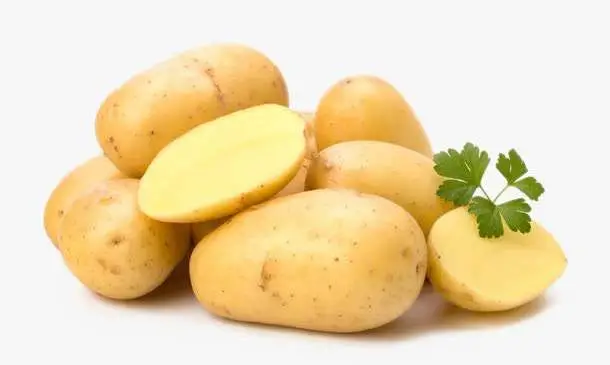 30萬(wàn)畝種植基地全程機(jī)械化&mdash;&mdash;山西&ldquo;土豆革命&rdquo;行動(dòng)方案發(fā)布