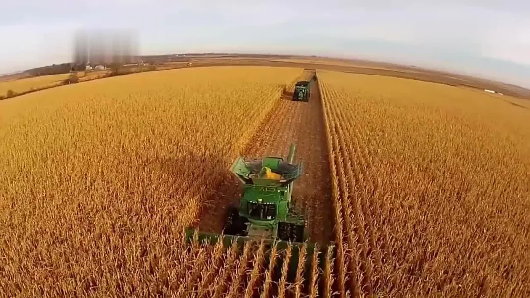 2021年糧食產量再創新高!機收減損功不可沒!