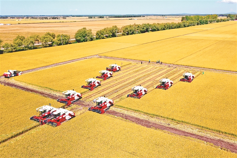 科技助農 綠色興農 品牌強農 北大荒集團趟出農業(yè)現(xiàn)代化發(fā)展新路