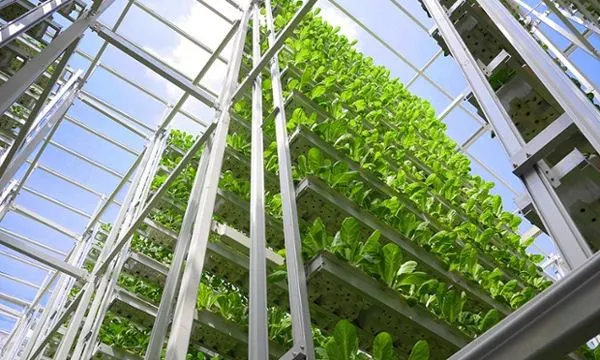 新加坡農(nóng)業(yè)：5大創(chuàng)新玩法，中國農(nóng)業(yè)值得借鑒