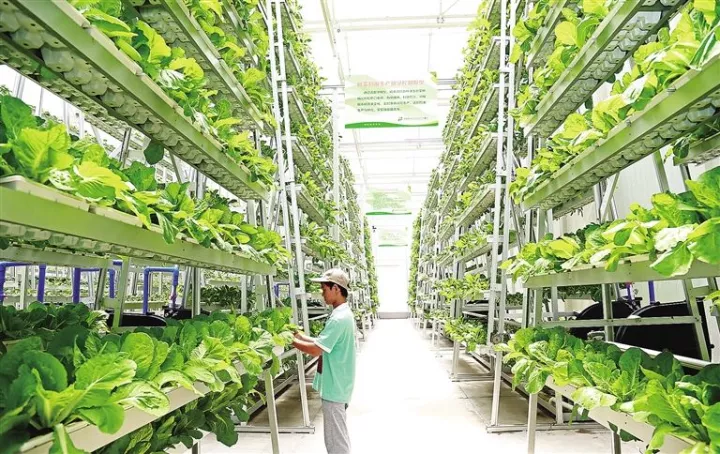 新加坡農(nóng)業(yè)：5大創(chuàng)新玩法，中國農(nóng)業(yè)值得借鑒