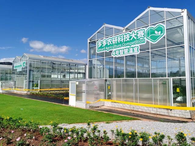 “智慧農業”拉動引擎,拼多多助鄉村振興