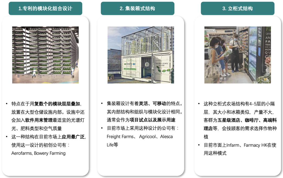 垂直農業,一個可持續的未來?