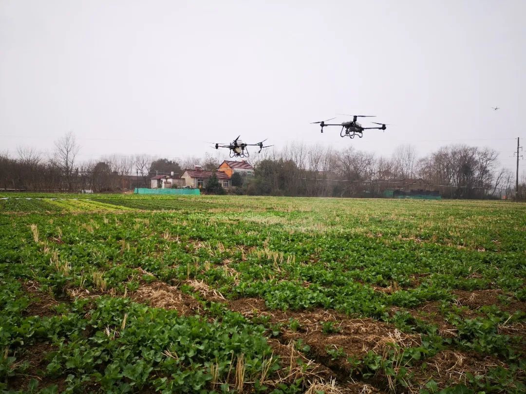 全國落地200處示范田 大疆精準農業(yè)推廣活動拉開帷幕