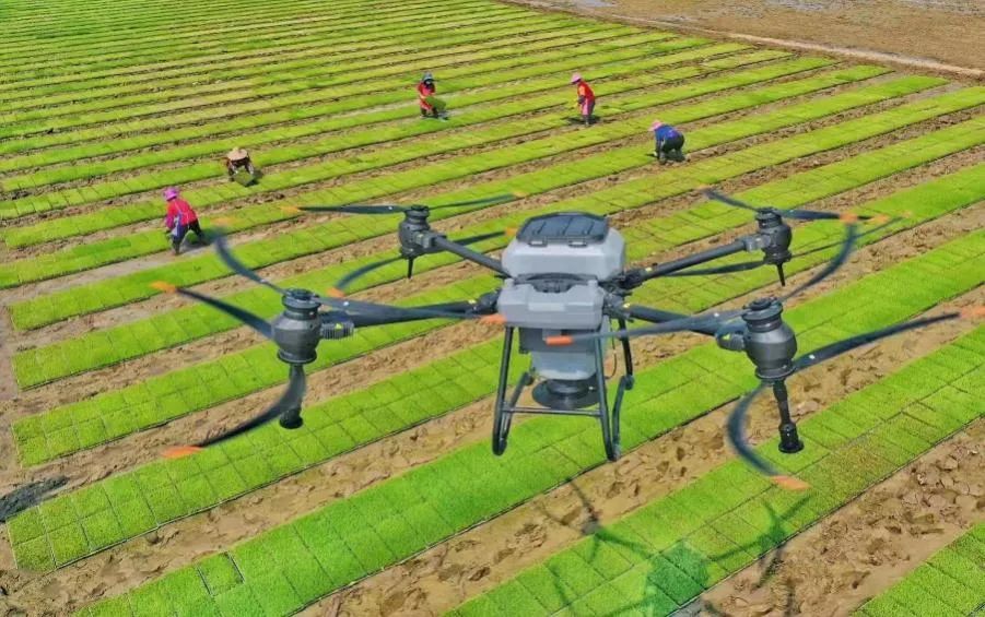 全國落地200處示范田 大疆精準農業(yè)推廣活動拉開帷幕