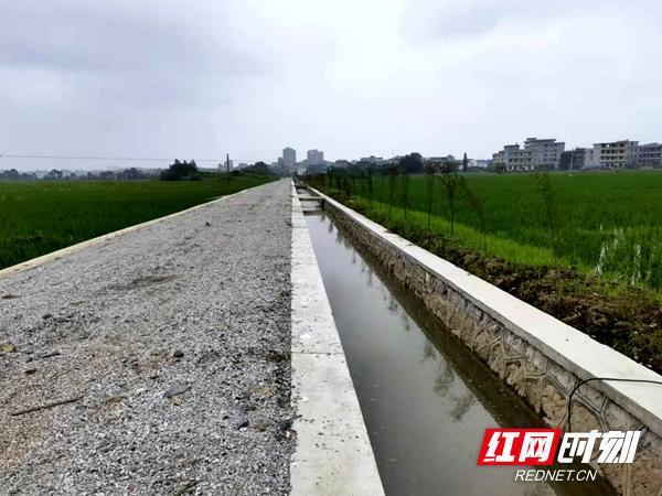 湖南邵東:集中連片規模開發整體推進高標準農田建設 湖南邵東:集中連片規模開發整體推進高標準農田建設