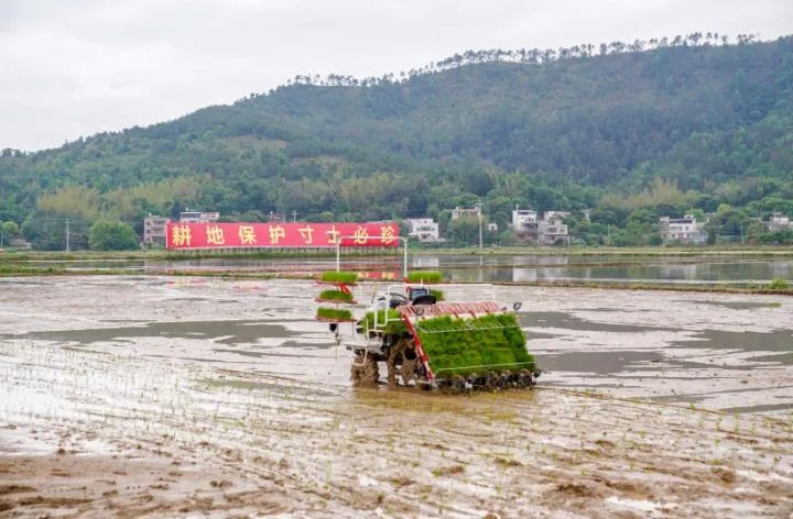 羅錫文院士：將這里打造成無人智慧農(nóng)場樣板！