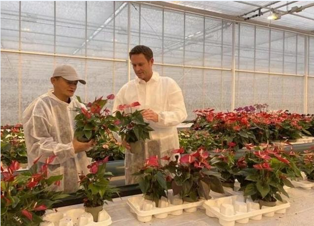 劉強東卸任投身鄉村振興，為何資本大佬都愛農業？