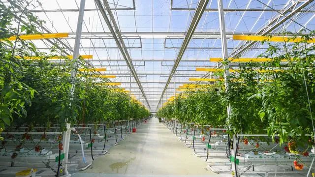 好！北京：設(shè)施農(nóng)業(yè)機(jī)械化率今年將達(dá)到43.5%！