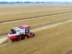 穩了！“中原糧倉”實現麥收供需對接全覆蓋！
