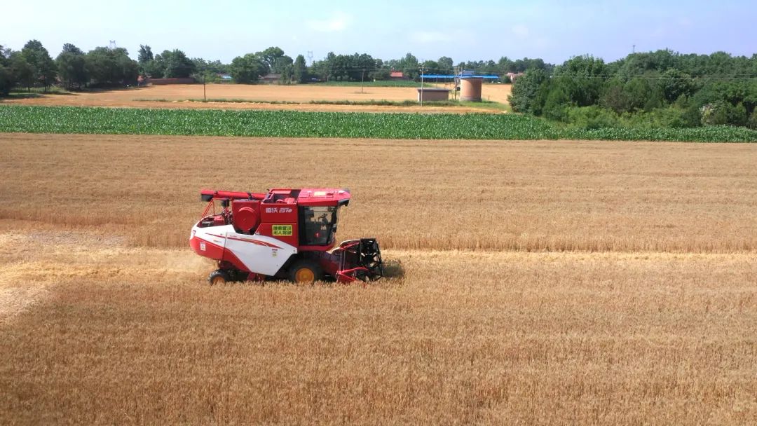 夏糧增產(chǎn)豐收成定局：做出突出貢獻的“機械化力量”