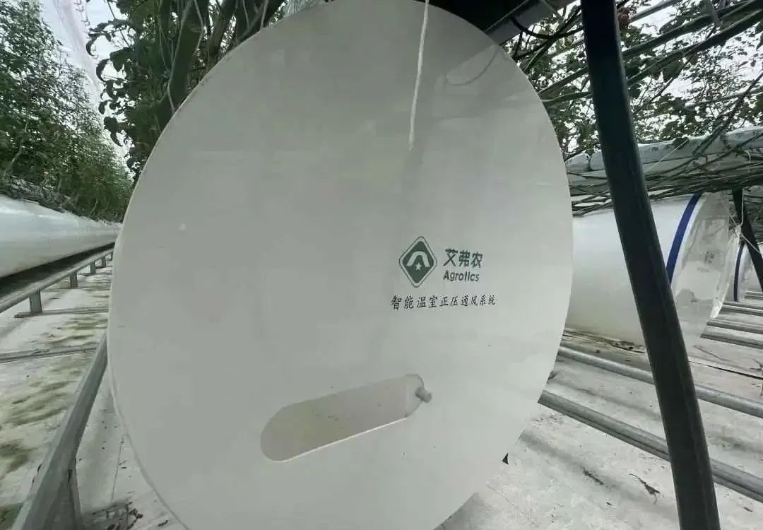 棚內(nèi)28攝氏度！嘉興這里的數(shù)字農(nóng)業(yè)車(chē)間很“清涼”