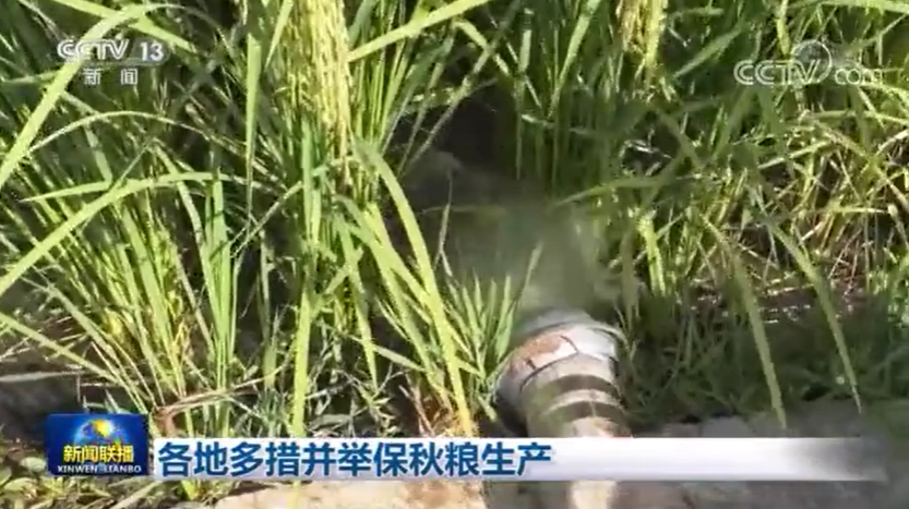 新聞聯播:各地多措并舉保秋糧生產 新聞聯播:各地多措并舉保秋糧生產