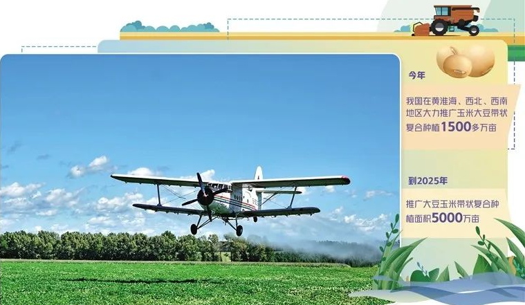 大豆玉米復合種植亟待加大適用機具研發(fā)