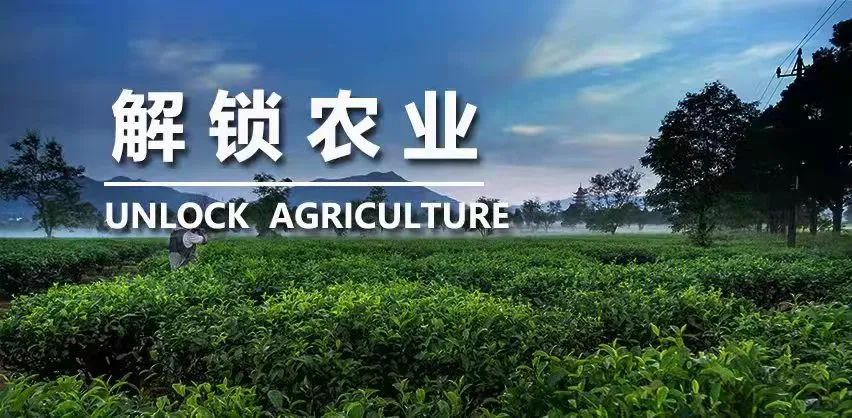 《2022農業農村產業發展重大技術需求》發布 《2022農業農村產業發展重大技術需求》發布