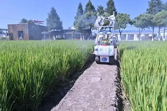 上海獎(jiǎng)補(bǔ)無人農(nóng)場(chǎng)建設(shè)