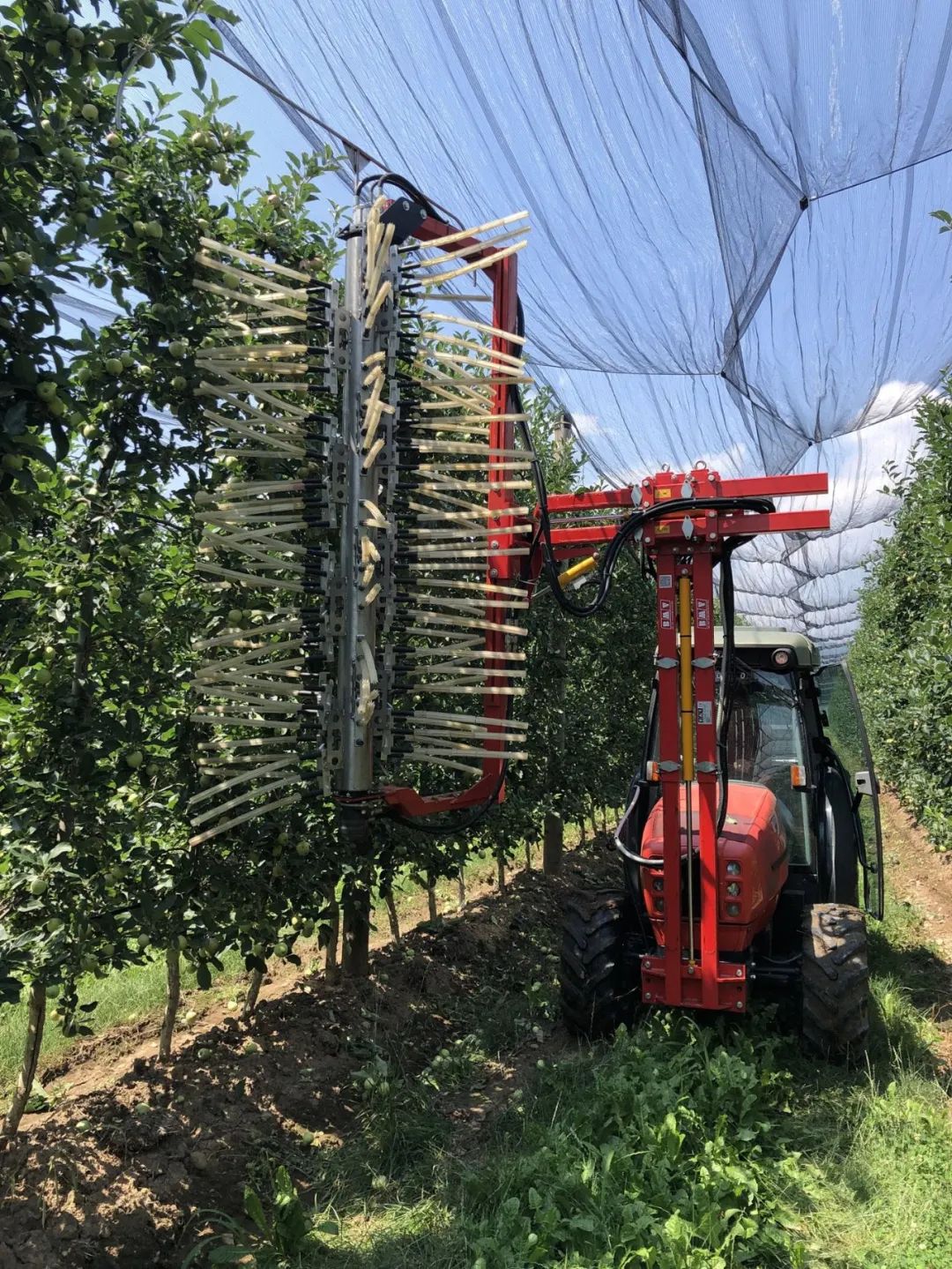 EIMA 2022技術(shù)創(chuàng)新獎釋出，自主性和環(huán)境友好產(chǎn)品受青睞