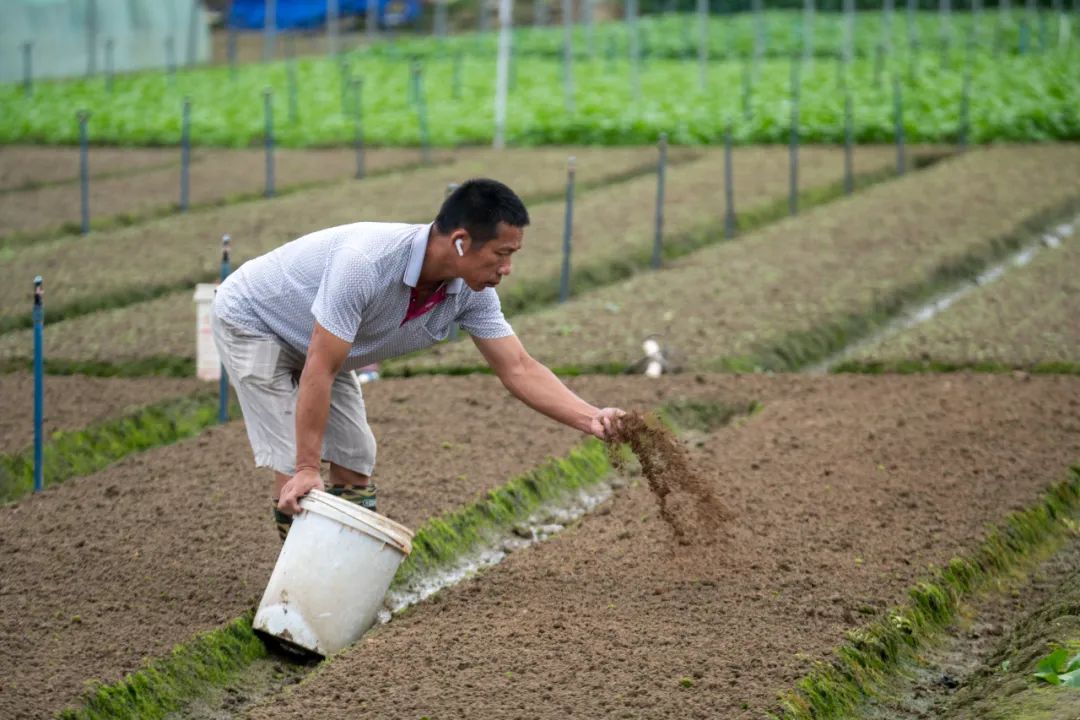超30省區市將遭寒潮速凍，17條蔬菜生產官方指導，建議收藏！