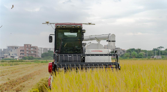 我國農(nóng)業(yè)機械化水平不斷提高 蘿卜小麥水稻棉花等都用北斗導(dǎo)航