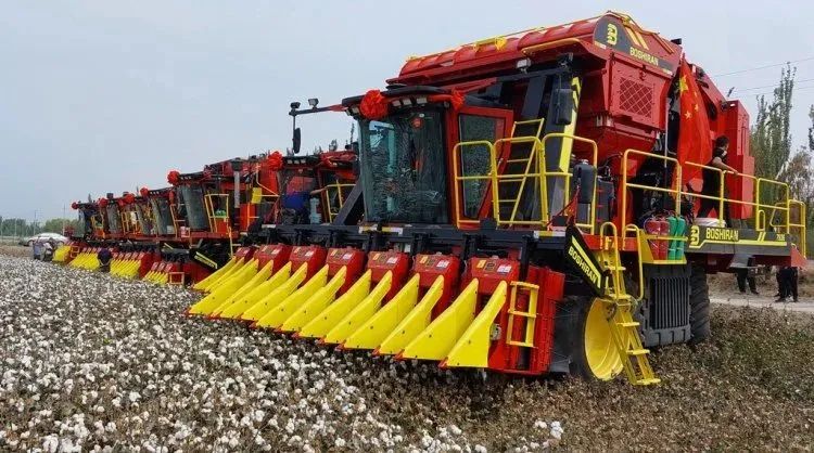 進口采棉機曾受國外斷供，國產化替代讓中國棉農挺起脊梁