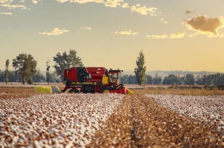 進口采棉機曾受國外斷供，國產化替代讓中國棉農挺起脊梁