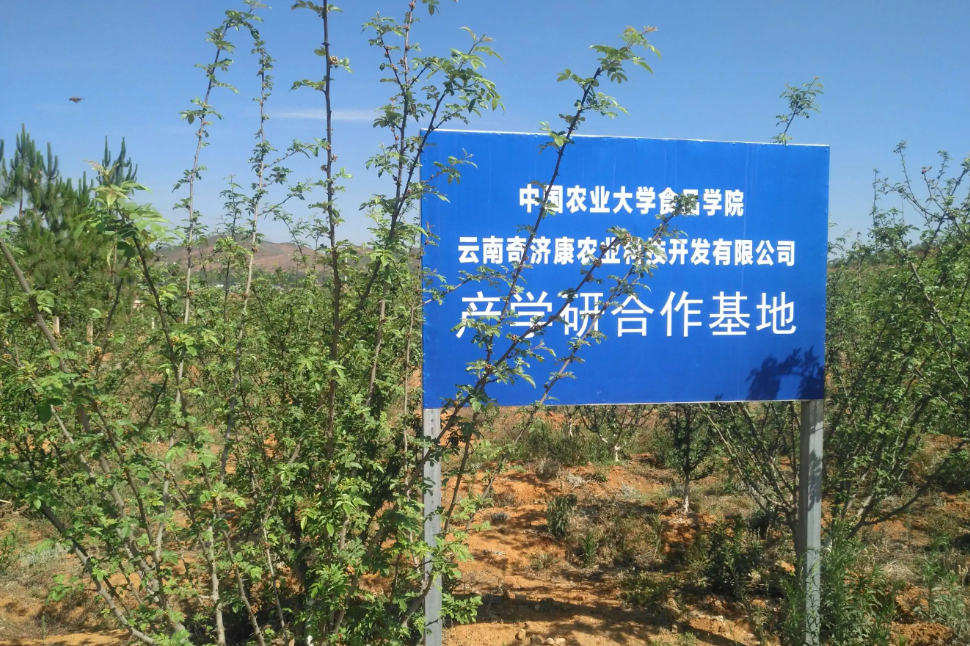 農(nóng)業(yè)產(chǎn)學(xué)研融合再添“新軍” 農(nóng)業(yè)產(chǎn)學(xué)研融合再添“新軍”