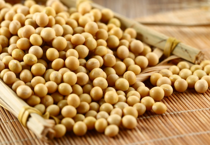 充分發揮大豆在我國食物系統中的獨特價值 充分發揮大豆在我國食物系統中的獨特價值