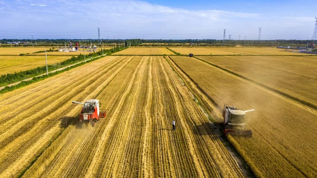 中國農學會發布“36條農業農村重大科學命題”