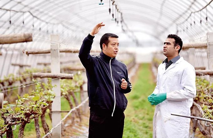 楊凌農(nóng)高區(qū)：中國(guó)現(xiàn)代農(nóng)業(yè)的“支點(diǎn)”